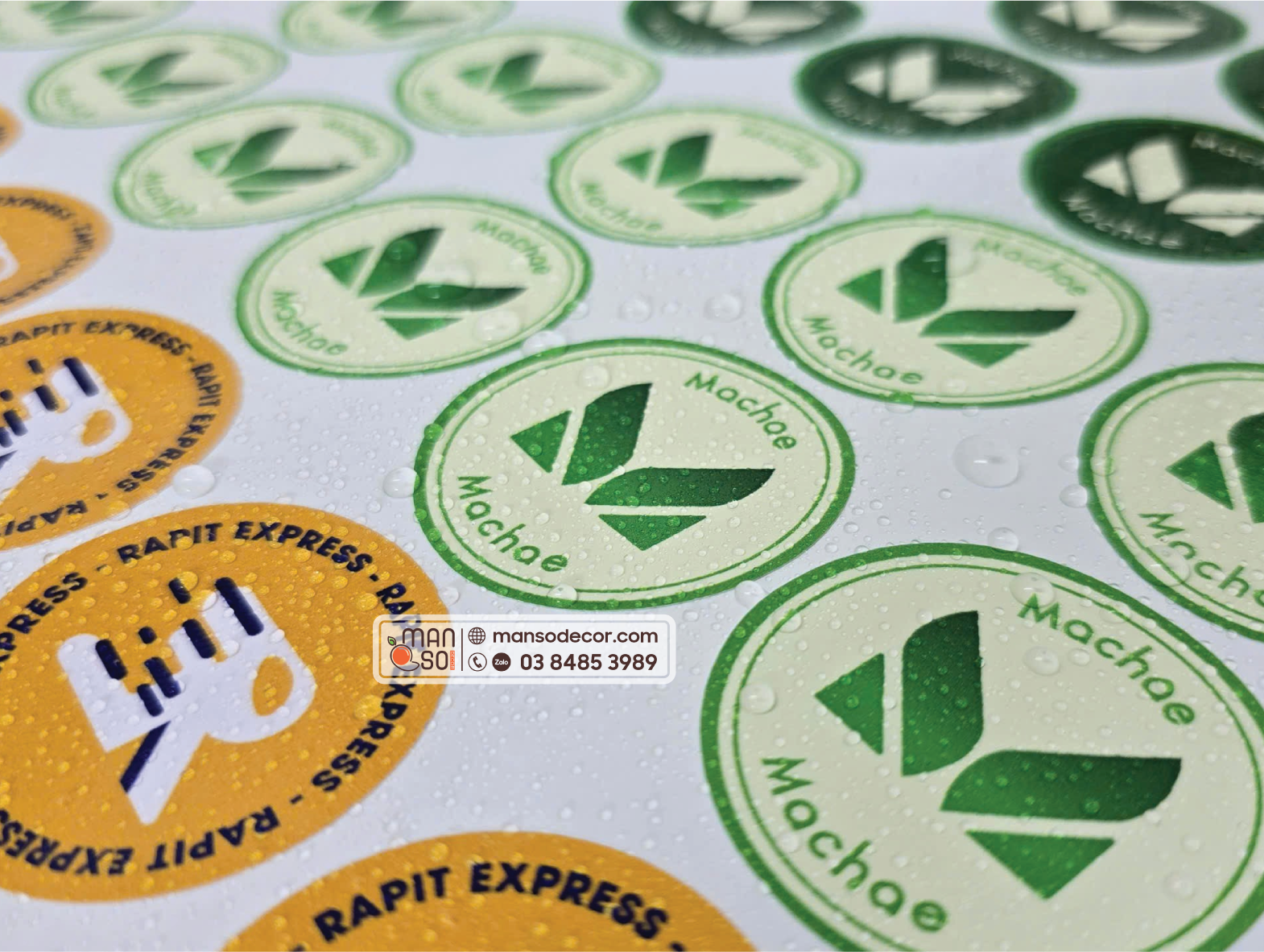 Ứng dụng thực tế của tem nhãn, logo